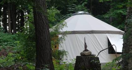 Explore an Off-Grid Waterfront Yurt Getaway on 11 Private Acres!