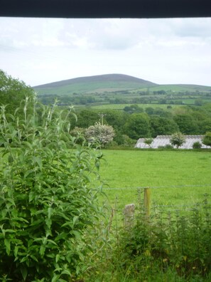 Property grounds - Off The Grid Experience, Close To Nature, A Great Getaway, with great views (Boncath)