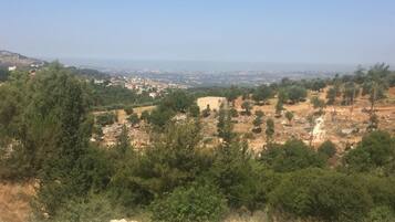 Apartment, 2 Bedrooms | View from room