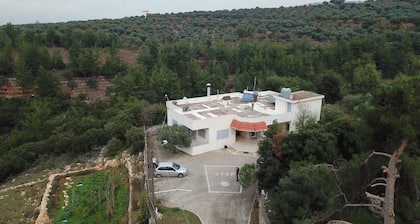 Ahla Vert View