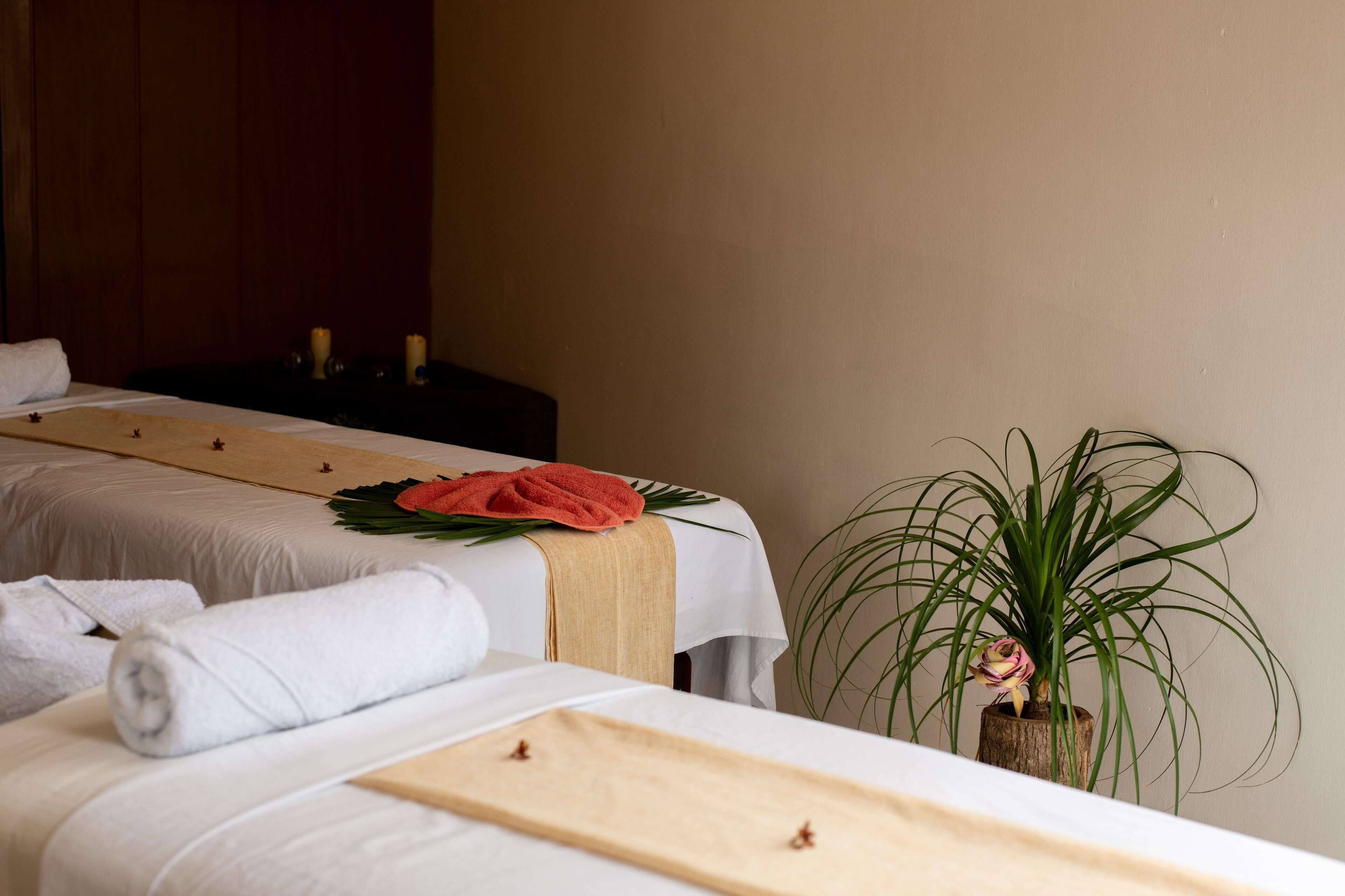 Ein Hotelzimmer mit zwei Betten, jedes mit weißer Bettdecke und einem Holztablett. Auf den Betten liegen Handtücher, es gibt einen Blumentopf und ein Holz-Kopfteil.
