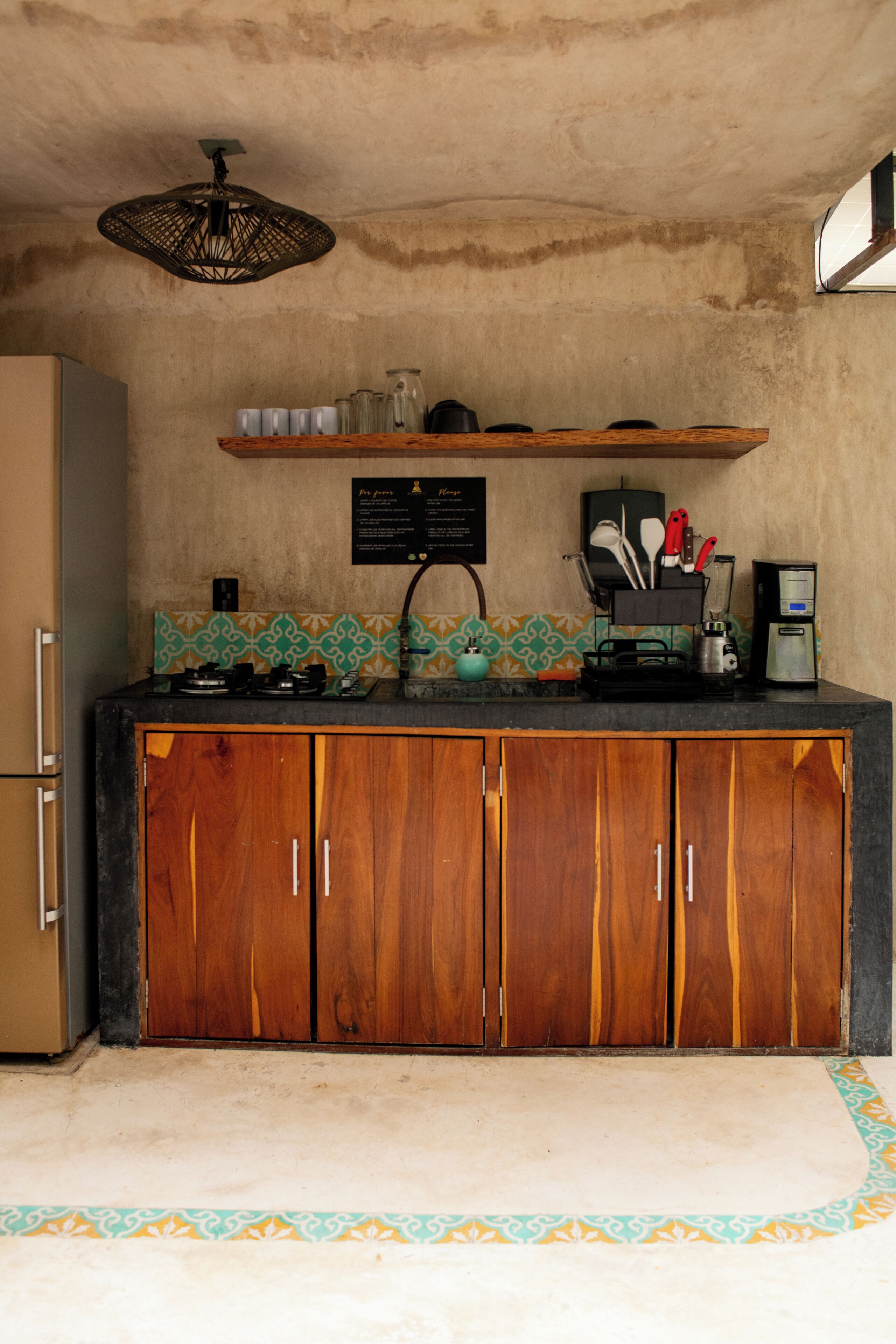 Photo - Bufo Alvarius