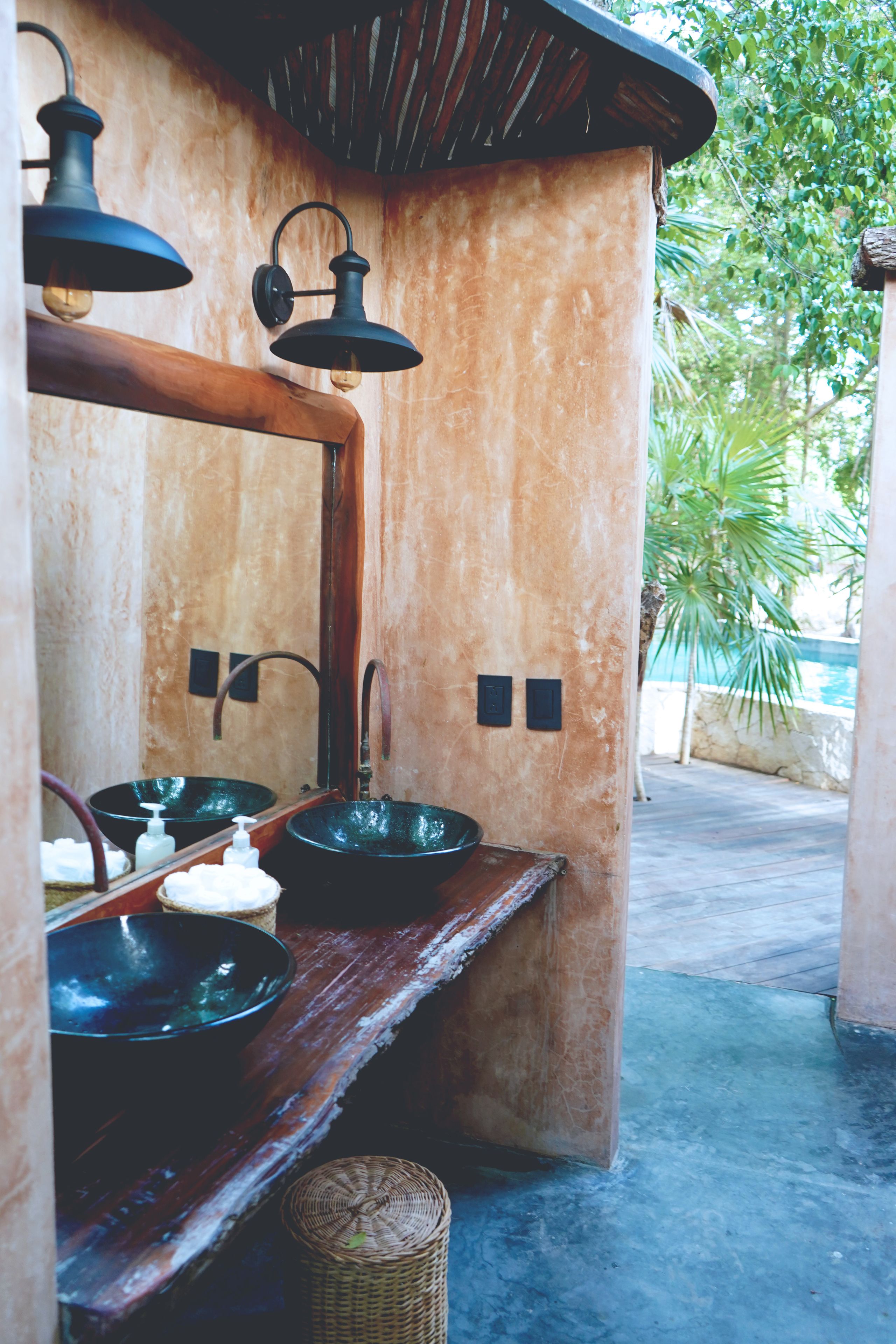 Photo - Bufo Alvarius