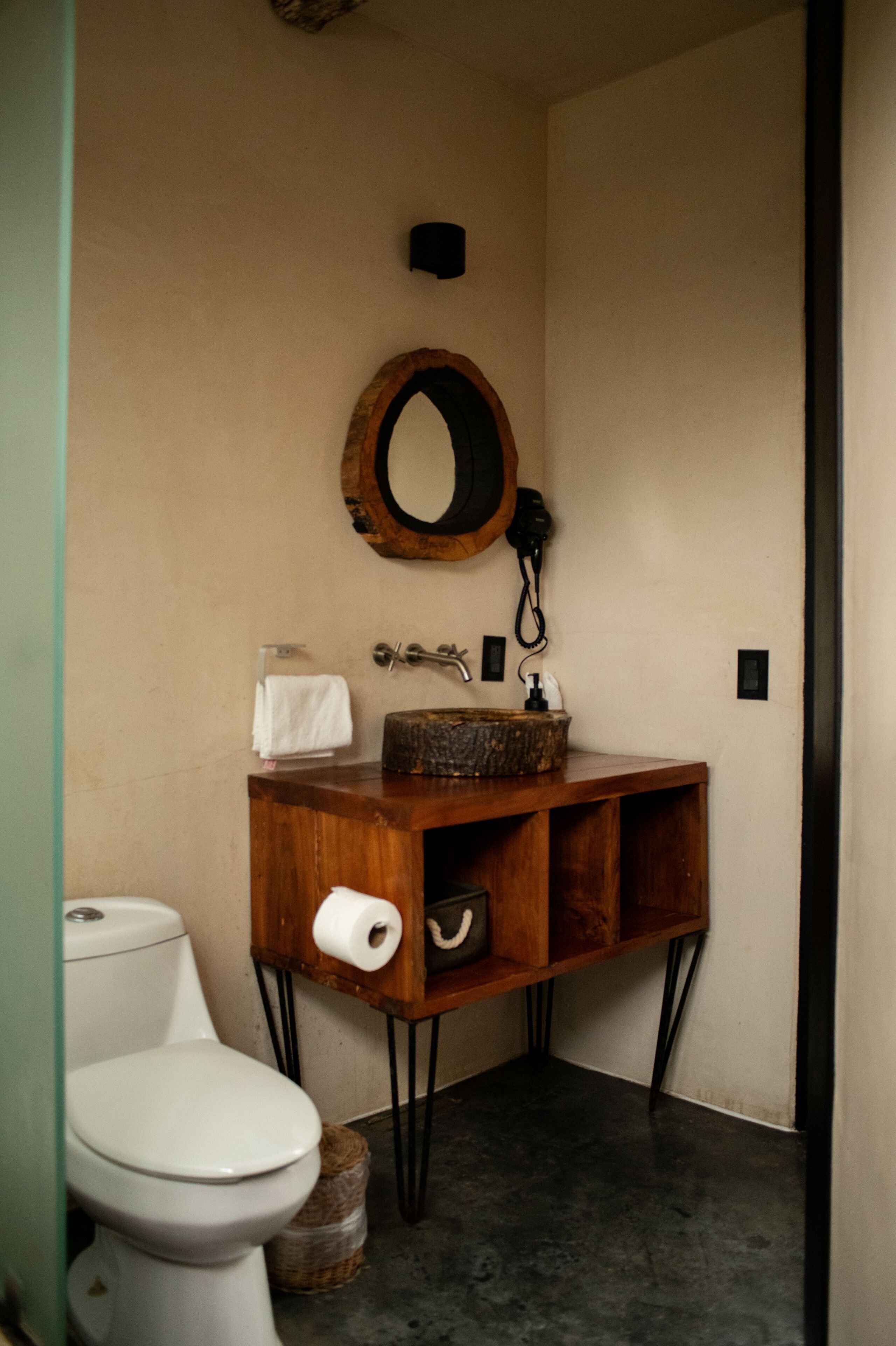 Photo - Bufo Alvarius