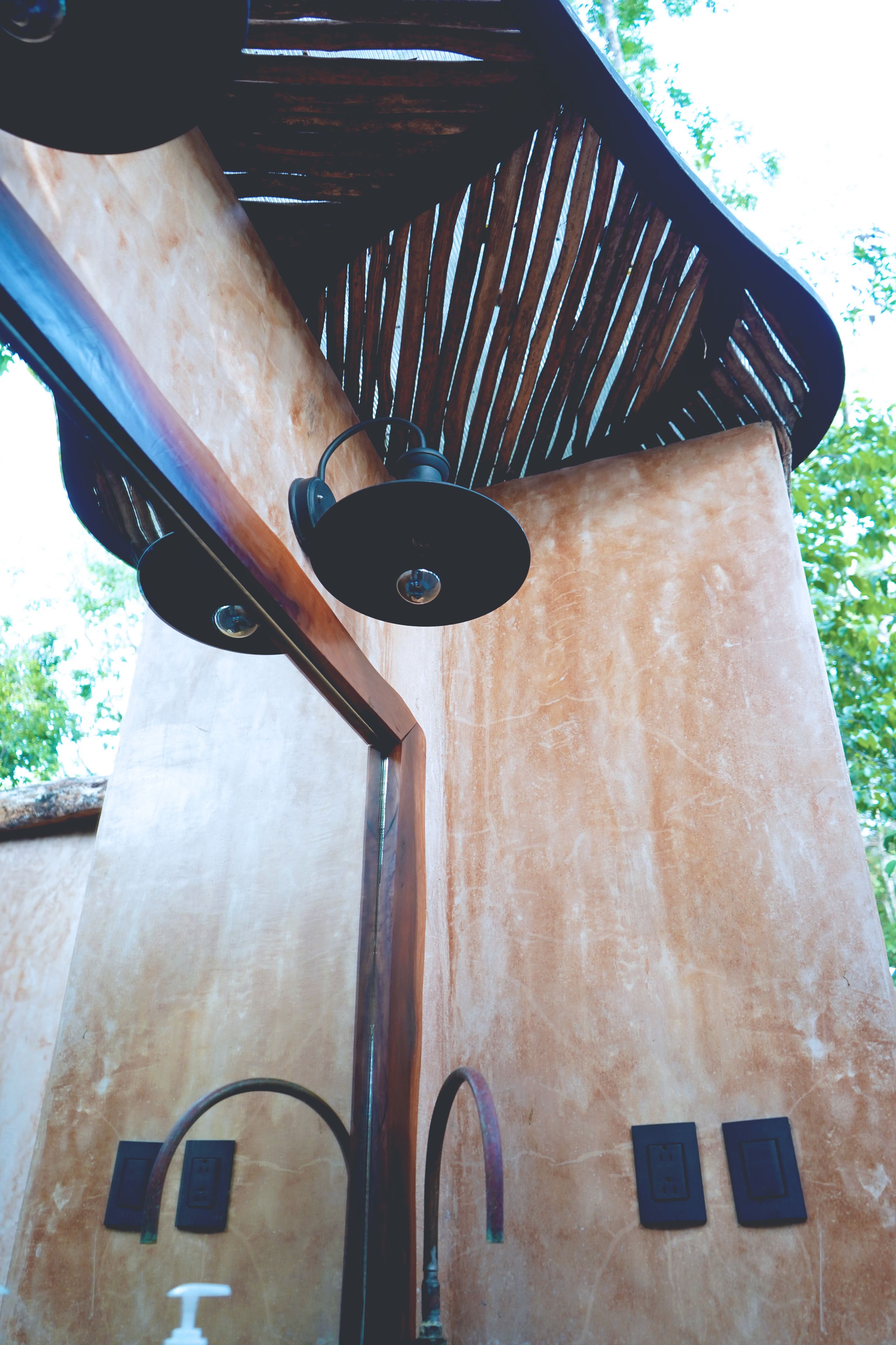 Photo - Bufo Alvarius