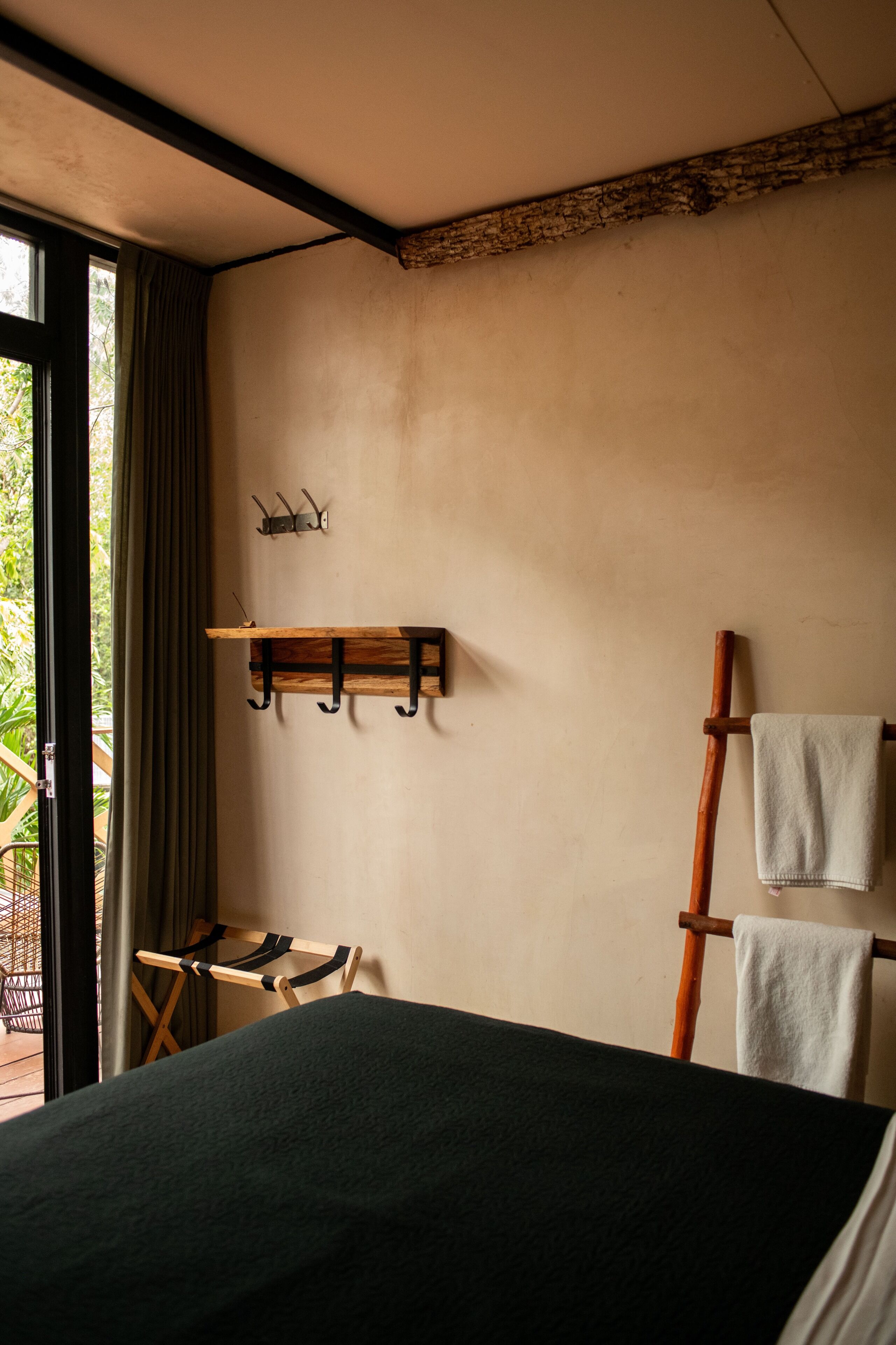 Photo - Bufo Alvarius