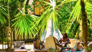 A pool area with lounge chairs and umbrellas, surrounded by tropical plants and a modern building in the background. - Bufo Alvarius (Tulum)