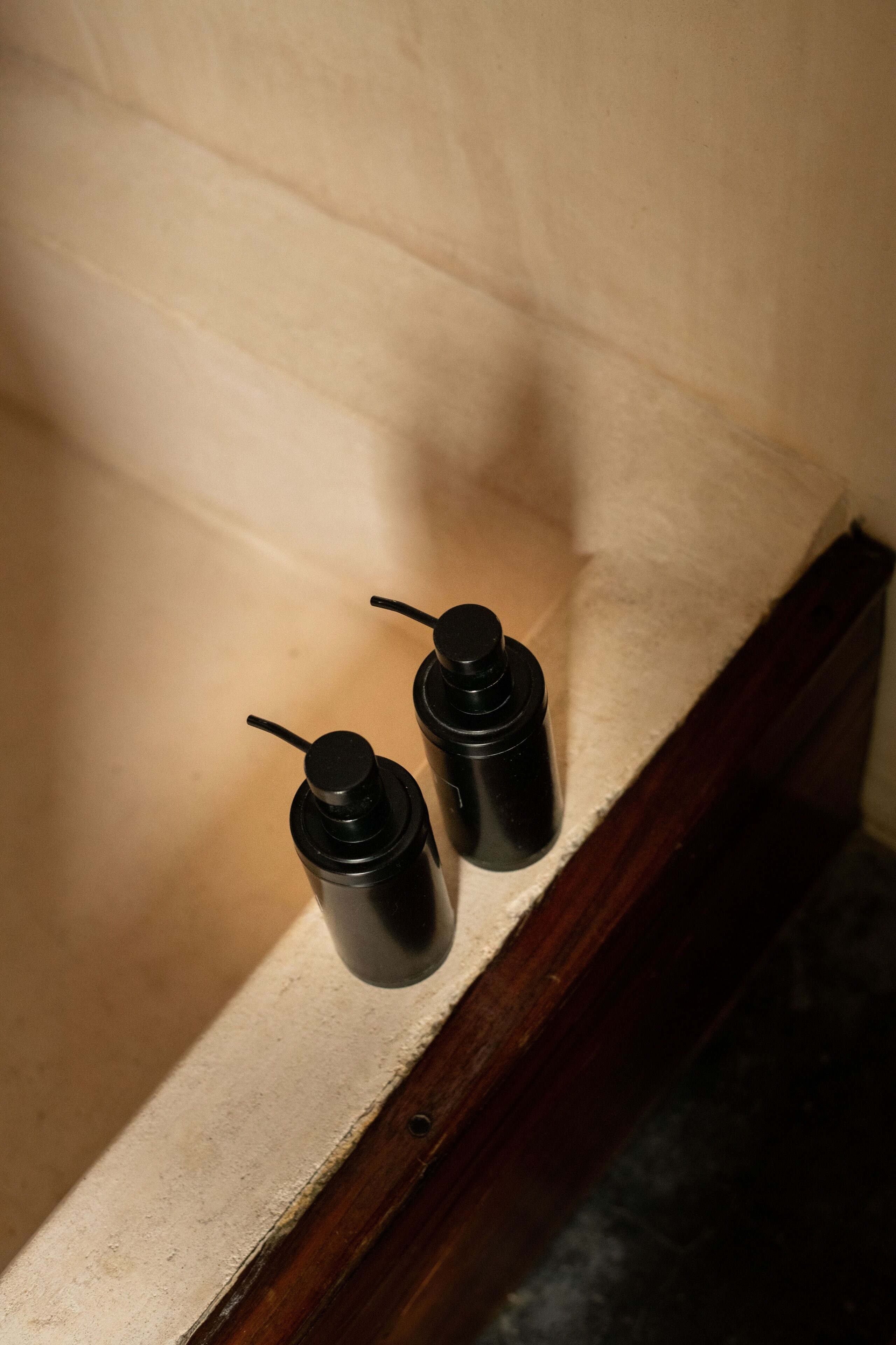 Photo - Bufo Alvarius