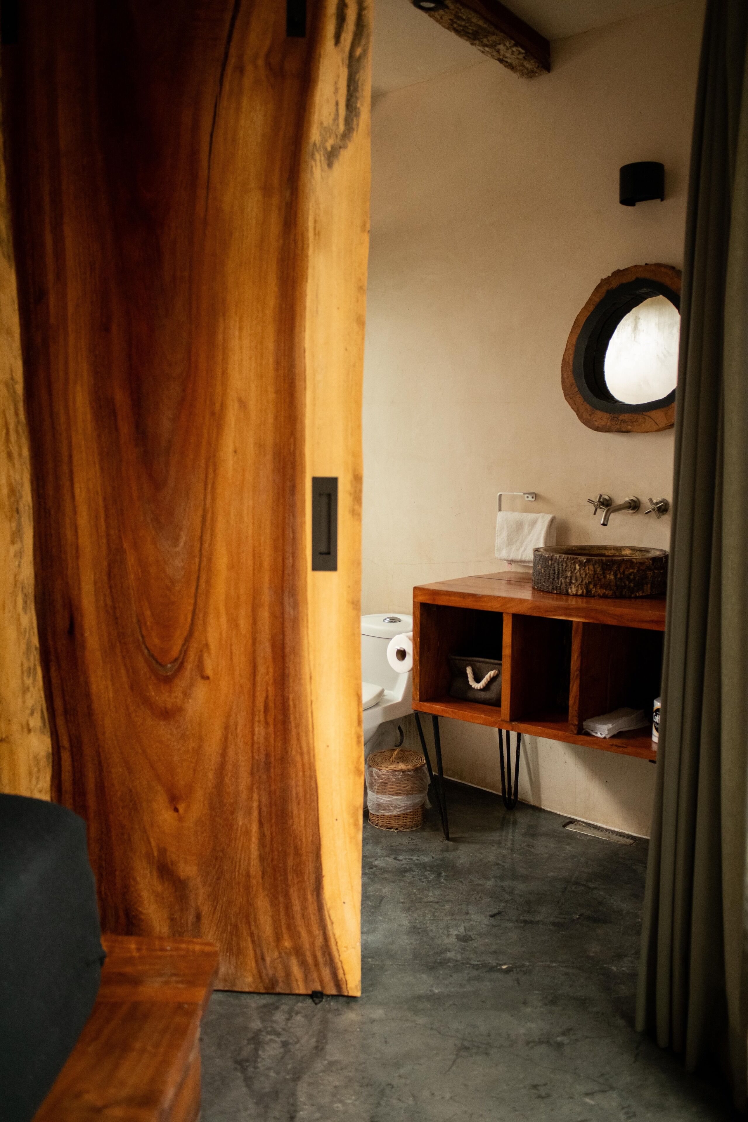 Photo - Bufo Alvarius