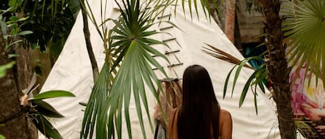 A tent set up in a natural environment with palm trees and a sandy ground.