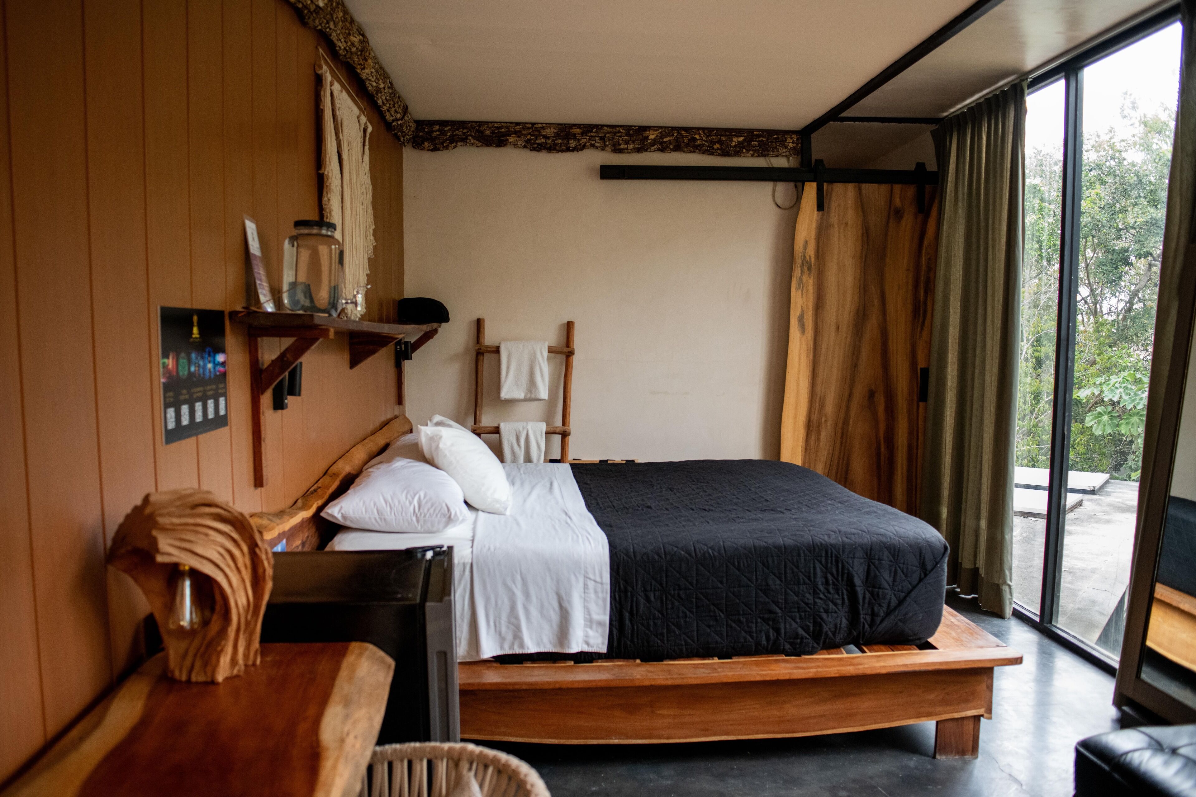 Photo - Bufo Alvarius