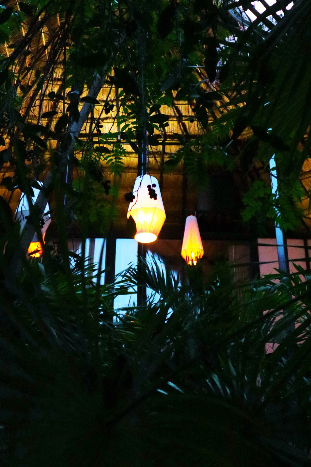 Une scène nocturne avec des guirlandes lumineuses et un feuillage dense.