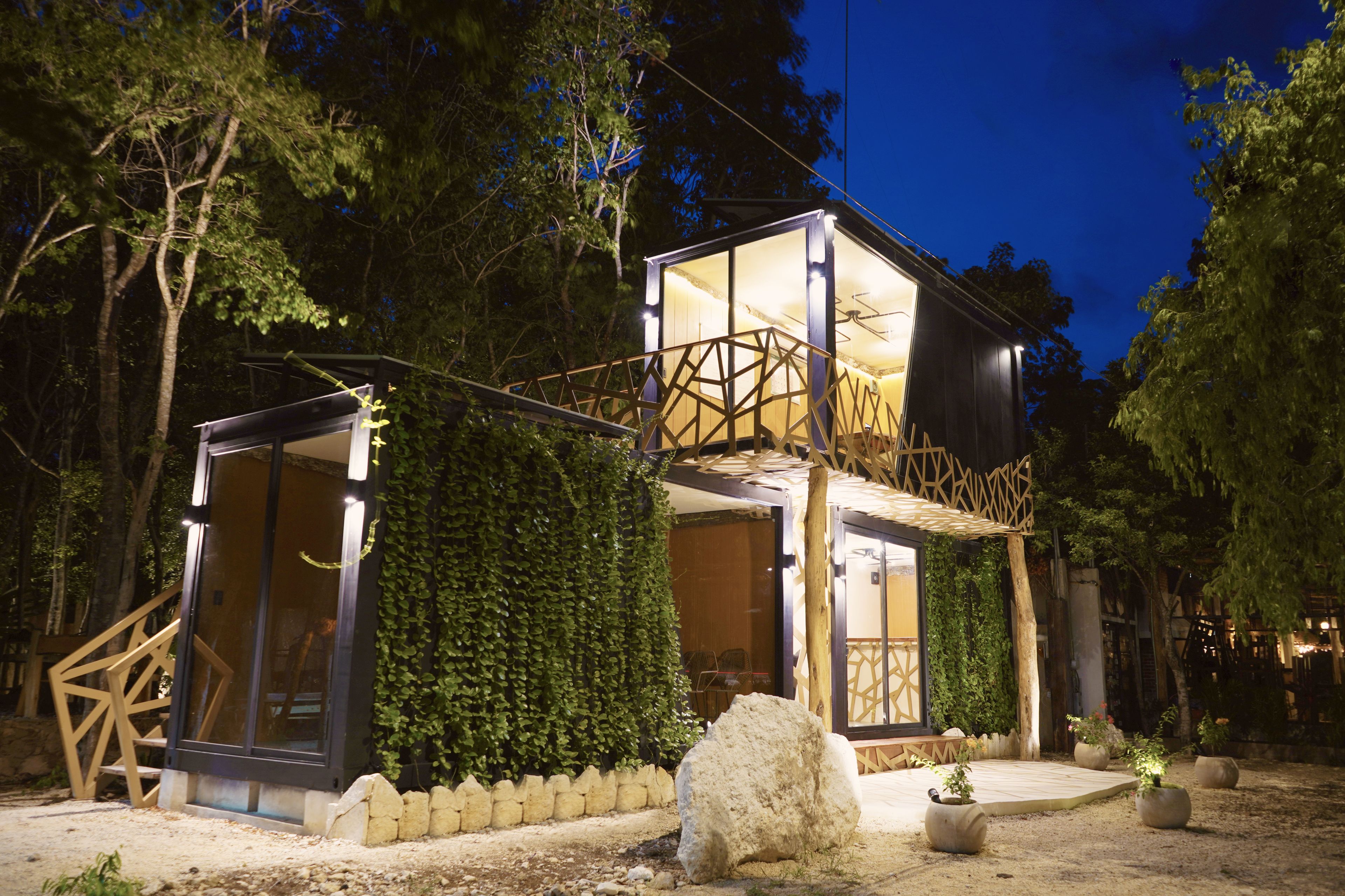 Photo - Bufo Alvarius