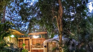 A rustic outdoor area with a wooden structure, a stone wall, and a pathway leading to a seating area. - Bufo Alvarius (Tulum)