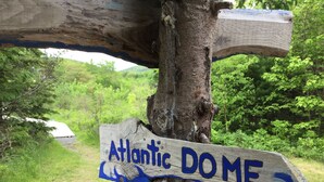 Un panneau en bois portant l’inscription « Atlantic DO ME » et pointant vers la droite, fixé à un arbre.