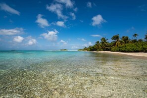 Plage à proximité