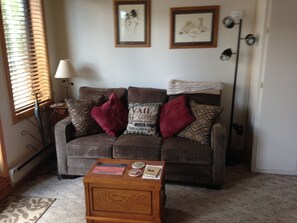 Télévision, lecteur de DVD, livres, vidéothèque