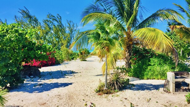 A sandy pathway flanked by lush greenery and palm trees, leading towards a beach. - 🌴 Sundial Villas ~ Conch Coastal Calm (Bambarra Beach)