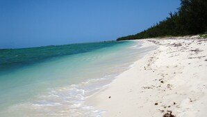 A beach with clear turquoise water, white sand, and a line of trees in the background. - 🌴 Sundial Villas ~ Conch Coastal Calm (Bambarra Beach)