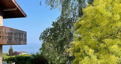 Cozy apartment with terrace, Wi-Fi, and parking in Évian-les-Bains