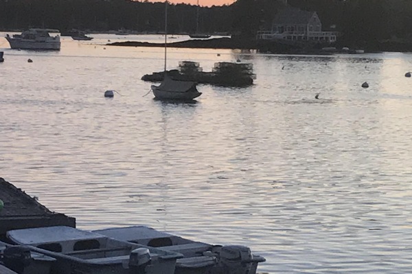 Morning view of harbor