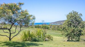 A coastal landscape with a variety of trees and shrubs, a grassy field, and a view of the ocean. - Jinalong - Breathtaking Views (Angourie)