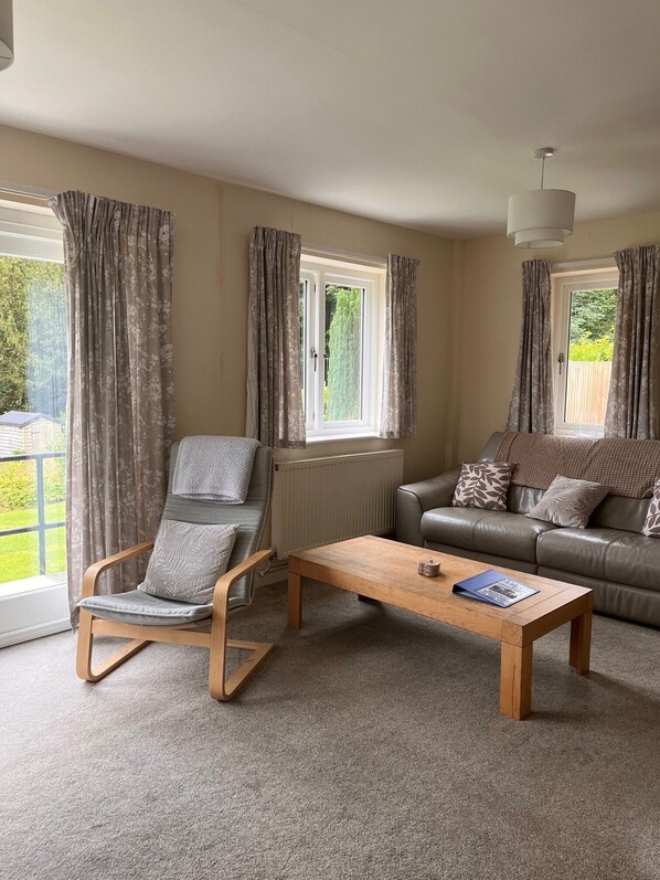 Smart TV, fireplace, DVD player, books