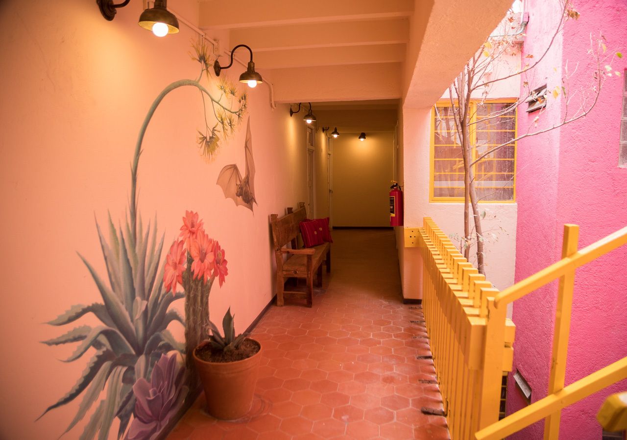 Photo - Cactus Hostel & Suites
