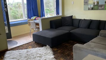 TV, fireplace, DVD player, books