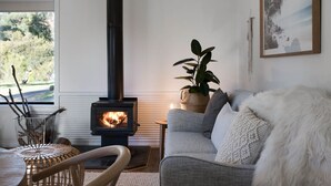 Un salon chaleureux avec un poêle à bois, un fauteuil en osier, un canapé gris et une plante en pot.