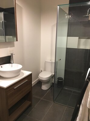 Hair dryer, towels, soap, shampoo