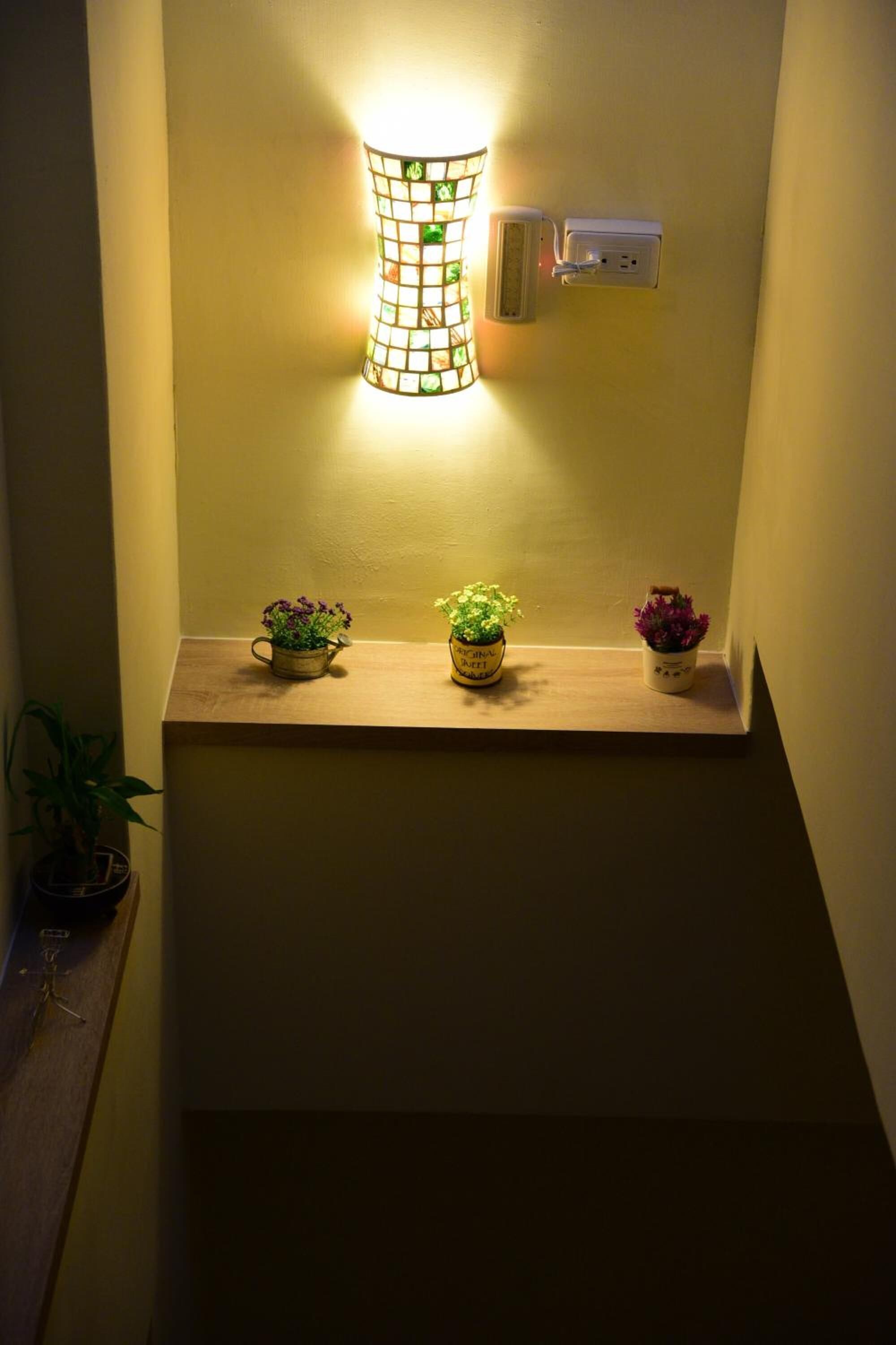 Una lámpara de pared con diseño de mosaico, un enchufe y tres plantas en macetas sobre una estantería.