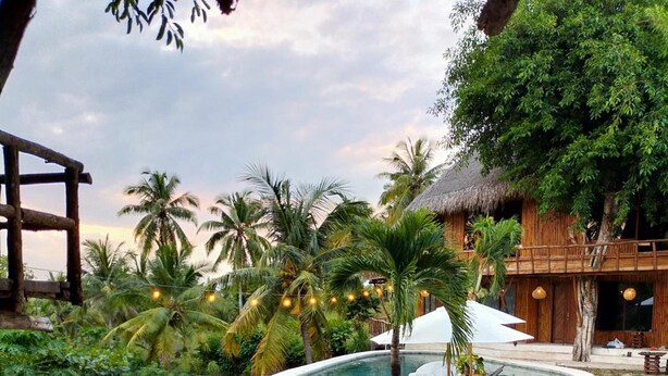 A swimming pool with a stone edge, surrounded by palm trees and a wooden structure. - Gading Treehouse (Penida Island)