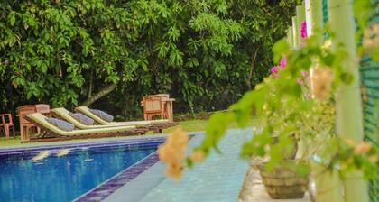 Villa nature de luxe avec piscine extérieure (16 personnes)