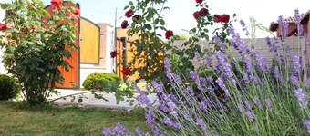 Rental house for guest