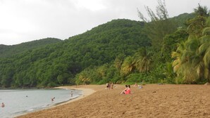 Una playa con gente tomando el sol y nadando, rodeada de exuberante vegetación y colinas.