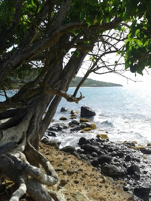 Beach nearby, sun loungers