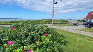 A coastal road with a grassy area and a building with a red roof. - Summer Fun on Sandy Beach, Warm Water (Port Hood)