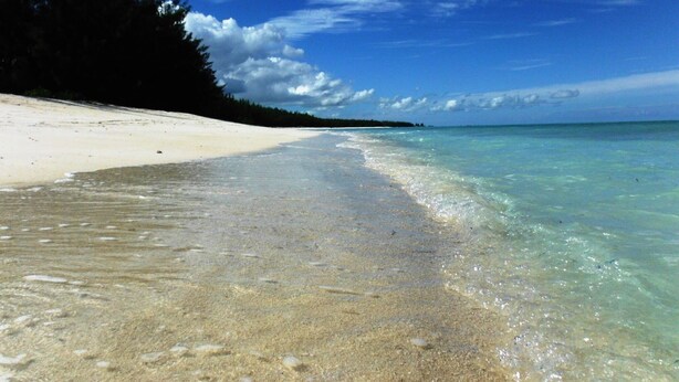 Ein Strand mit klarem türkisblauem Wasser, weißem Sand und einer Baumreihe im Hintergrund.