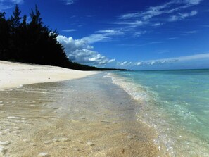 Ein Strand mit klarem türkisblauem Wasser, weißem Sand und einer Baumreihe im Hintergrund.