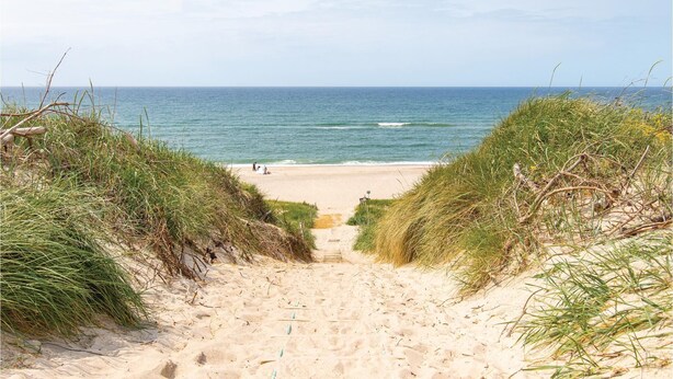 A sandy beach path leading to the ocean, surrounded by grassy dunes. - Cozy home in Hvide Sande with kitchen (Hvide Sande)