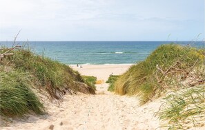 En sandig stig som leder till havet, omgiven av gräsklädda sanddyner.