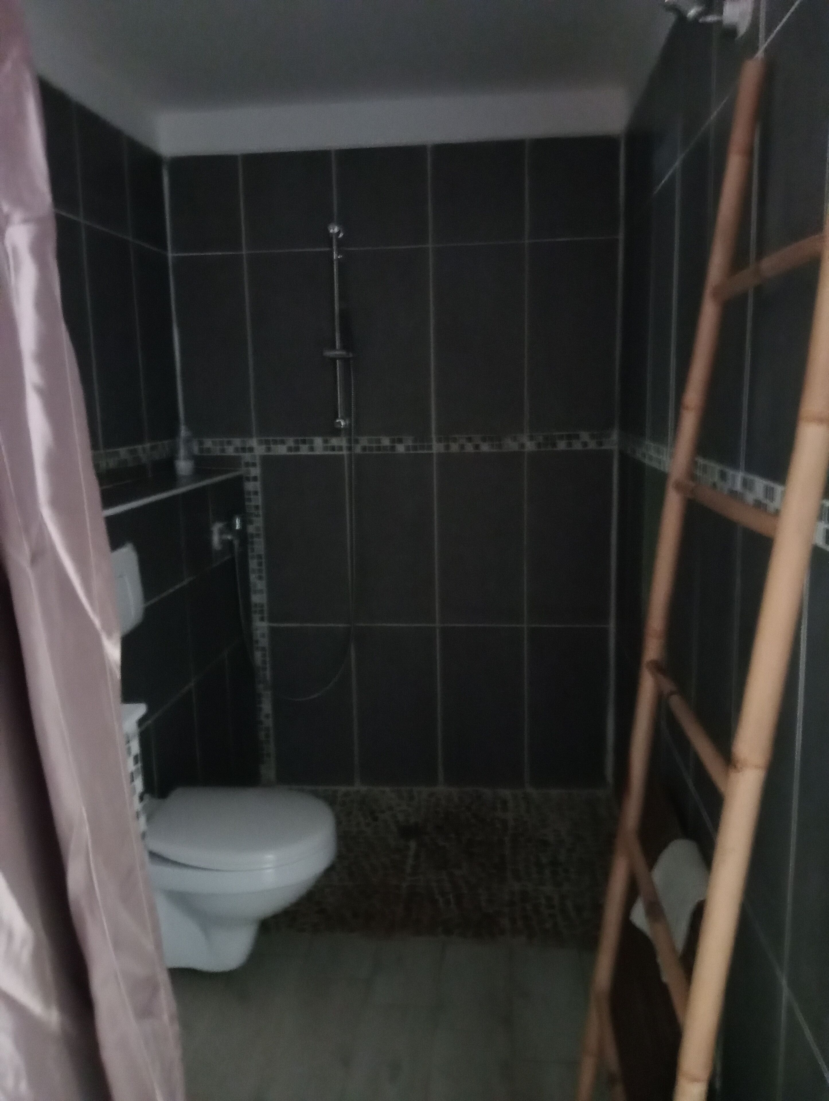 A small bathroom with a toilet, a shower, and a wooden ladder.