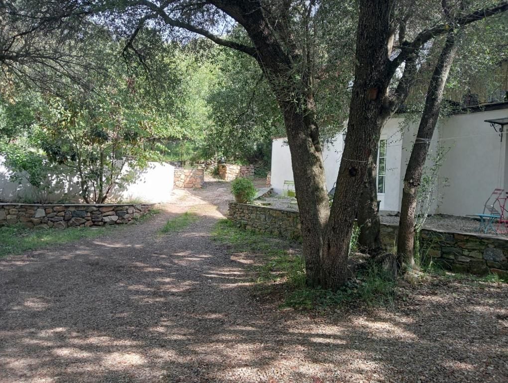 Un chemin de gravier mène à un bâtiment blanc doté d’un mur en pierre et bordé d’arbres.