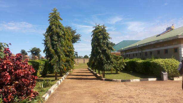 A pathway leading to a building with a green roof, surrounded by greenery and a fence. - Hotel Premier (Yumbe)