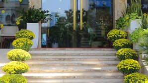 A set of marble steps leading up to a building entrance, flanked by potted plants and flowers. - Nagila Boutique Hotel (Da Nang)