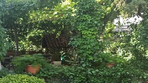 Un jardín con diversas plantas y flores, incluidas hortensias rosas, dispuestas en macetas y a lo largo de un camino de piedra.