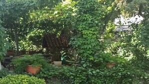 Ein Garten mit verschiedenen Pflanzen und Blumen, darunter rosa Hortensien und einer Kletterpflanze.