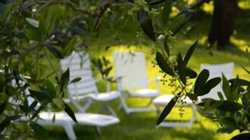 Jardines del alojamiento