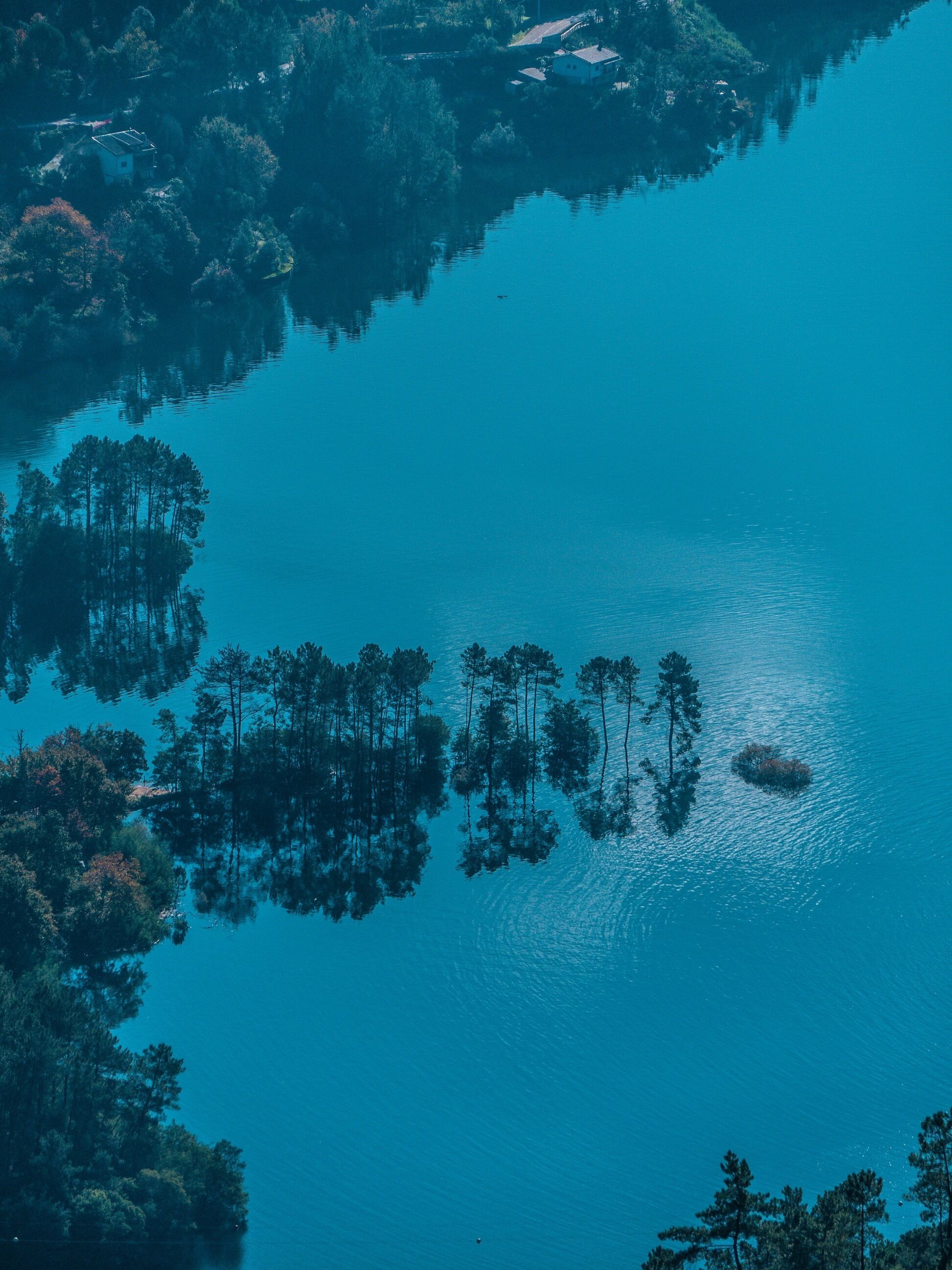A tranquil lake surrounded by dense forest.